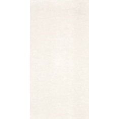 سرامیک پرسلانی دهبید - شرکت کاشی پارس PARS TILE