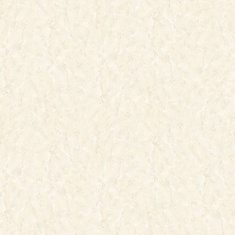 سرامیک ماریا براق- شرکت کاشی امین میبد  AMIN TILE