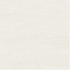 لونا - سرامیک پرسلان پولیش روشن لونا 886551 -کاشی پردیس پاژ Pardis Tile