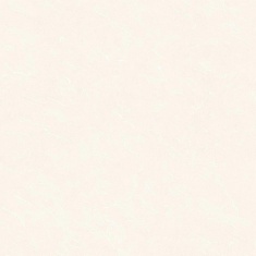 دهبید - سرامیک دهبید بژ 6060 - کاشی عقیق