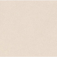 آلبو Albo - سرامیک آلبو بژ مات 60x60 - کرابن تبریز 