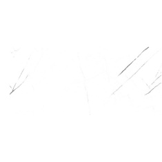 آمور Amor - سرامیک اسلب آمور سفید پولیش 80X160 - هرمس سرام نوین