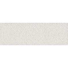 aralia_white_structure_33100