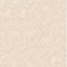 arnika_1201267382