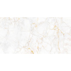 آتیکا Atika - سرامیک آتیکا سفید نانو پولیش 60x120 - کاشی بیستون