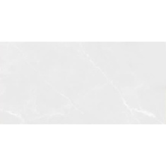 بلونیا Blonia - سرامیک بلونیا ساده براق 60x120 - کاشی مارلیک Marlik Tile