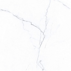 9274 carlotta silver - سرامیک کارلوتا سیلور پولیش 100x100 - کاشی میلان