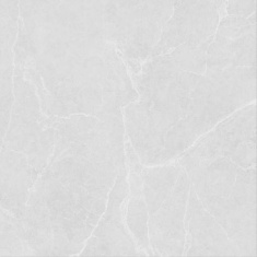 کارولینا Carolina - سرامیک کارولینا طوسی روشن مات 100x100 - کاشی سرام نگار Ceram Negar