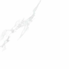 Carrara White - سرامیک کارارا سفید پولیش 100x100 - سرامیک راک