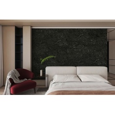 کازابلانکا Casablanca - سرامیک کازابلانکا مشکی مایکروسید گلوسی مدل کارشده 80x160 - سرامیک ریوان Rivan