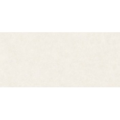 CN-002 - سرامیک اسلب CN002 استخوانی مات 120x260 - مگاکر Megaker