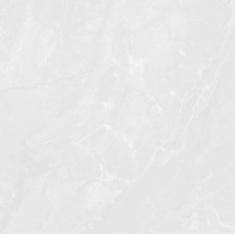  Coral Stone Light Gray - سرامیک کورال استون طوسی روشن پولیش 100x100 - سرامیک راک