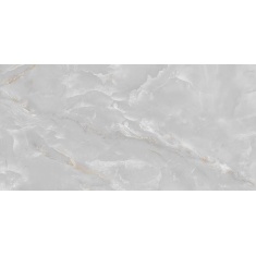 Delfina Light Gray- سرامیک دلفینا طوسی روشن پولیش 60x120 - سرامیک بسلی Besli
