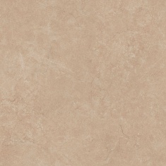 goticceniza80x80