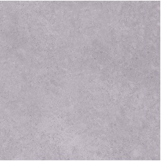 gray-artic1