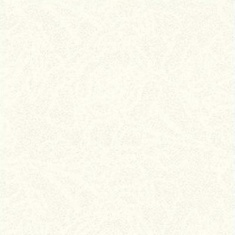 مودنا Modena- سرامیک مودنا سفید 2525 - کاشی زیماک Zimak Tile