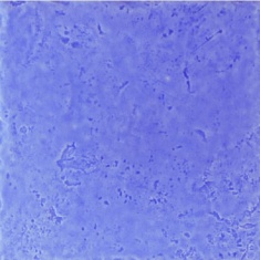 کاشی ایکات بنفش - سرامیک البرز     ALBORZ CERAMIC
