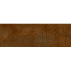 lidz-bronze-25x75