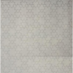 ماتریکا Matrika - سرامیک ماتریکا زمینه 25*25 - کاشی آسیا  ASIA TILE