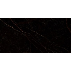 ماکسیم Maxim - سرامیک اسلب ماکسیم گلد پولیش 100x200 - بیوتی اسپرینگ Beauty Spring