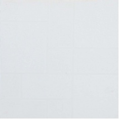 سرامیک شیده سفید -  شرکت کاشی نیلو nilou tile  