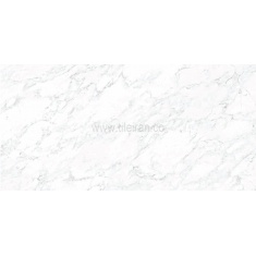 palazzo_silver_slab