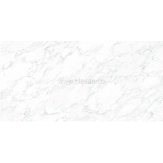 palazzo_silver_slab