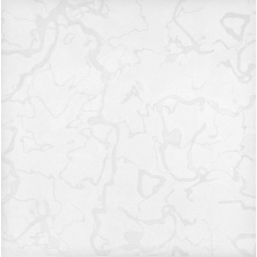 پرند parand - سرامیک 25*25 پرند سفید 228 - کاشی آسیا  ASIA TILE