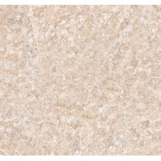 ای دی - سرامیک ای دی کرم ساده - شرکت کاشی پردیس آباده PARDIS TILE