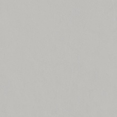 Pristine Light Grey 4300 - سرامیک اسلب پریستین طوسی روشن مات 100x100 - اسلب ورونزو Veronzo