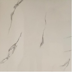 راجا Raaja - سرامیک راجا براق 80x80 - کاشی و سرامیک دی Day Tile