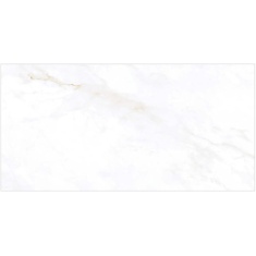 Raffaello P5041 - سرامیک رافائلو پولیش 160x320 - اسلب میکل آنجلو