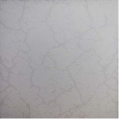 سرامیک گل یخ - شرکت کاشی روناس RONAS TILE