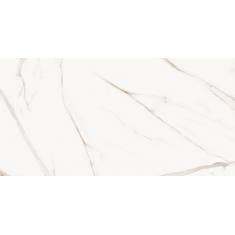 royal-gold-polished-glossy-60x120