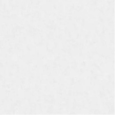 سالیوا Saliva - سرامیک سالیوا مات 100x100 - شرکت صبا کاشی