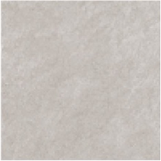 sandiegogray40