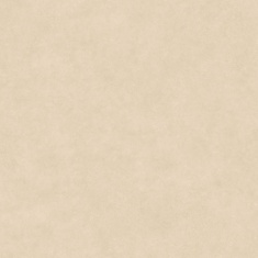 تمپر Temper - سرامیک تمپر بژ لاپاتو 100x100 - اسپینکر Spainker