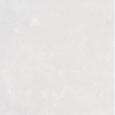 trust_4040_white