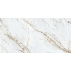 ویچنزا Vichenza - سرامیک اسلب ویچنزا پولیش 120x240- اسلب کلکسیون Slab Collection