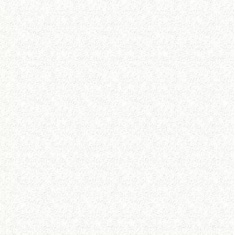 white_1445866486