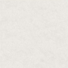 زاوا Zava - سرامیک زاوا کرم مات 30x30 - کاشی عقیق