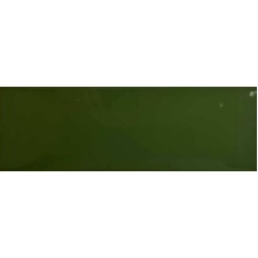 ژینا Zhina - سرامیک ژینا سبز تیره براق 10x30 - سرامیک جگوار Jaguar