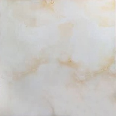 ژینوس Zhinous - سرامیک ژینوس براق 80x80 - کاشی روناس RONAS TILE