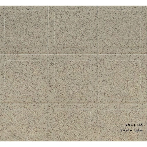 6701_479864519