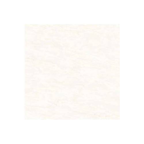 اریکا Erika - سرامیک اریکا 8080 پولیش - کاشی لئون LEON TILE