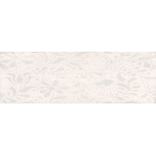 aralia_white_195510879