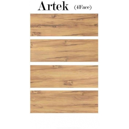 artek1
