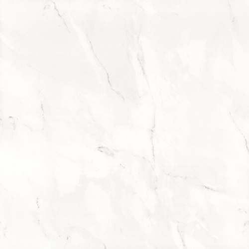 barbarafullpolish