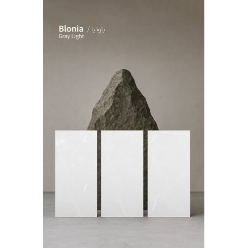 بلونیا Blonia - سرامیک بلونیا ساده براق 60x120 - کاشی مارلیک Marlik Tile