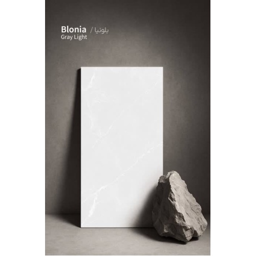 بلونیا Blonia - سرامیک بلونیا ساده براق 60x120 - کاشی مارلیک Marlik Tile